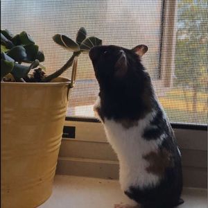 Meet your Posher, Leah